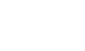 Logo-VWOWit